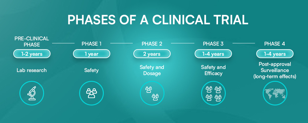 Phases of a Clinical Trial